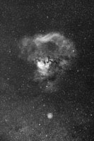 Ced216 NC124